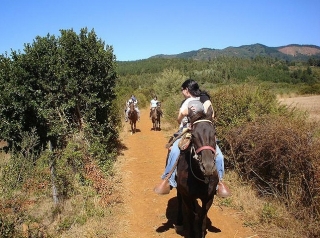  Passeggiate a cavallo in famiglia 